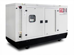 RICARDO 40kVA - 330 kVA