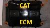 ecm-cat - ảnh nhỏ  1