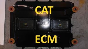 ECM CAT